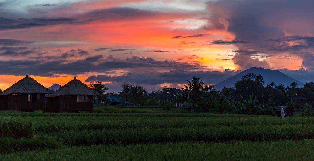 Solo Villas & Retreat Ubud Eksteriør bilde