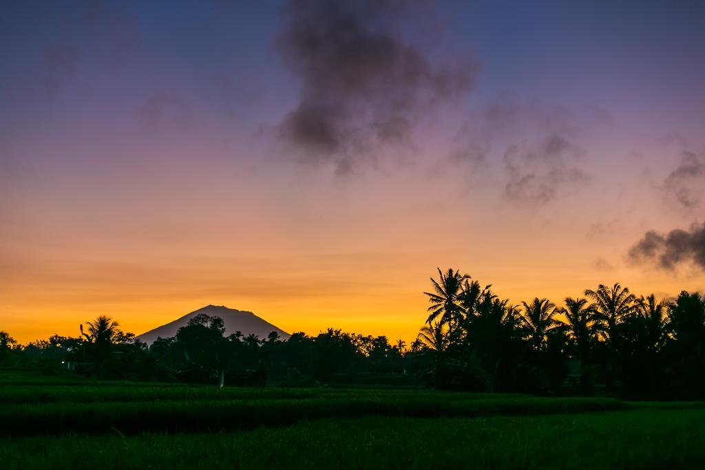 Solo Villas & Retreat Ubud Eksteriør bilde