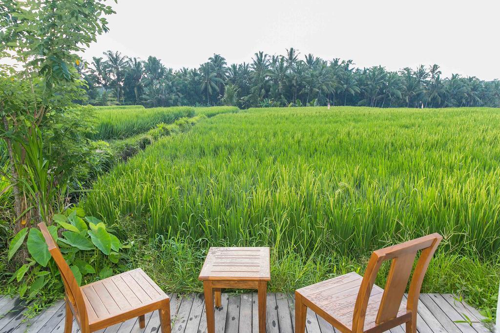 Solo Villas & Retreat Ubud Eksteriør bilde