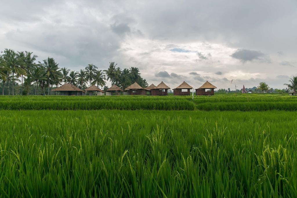 Solo Villas & Retreat Ubud Eksteriør bilde